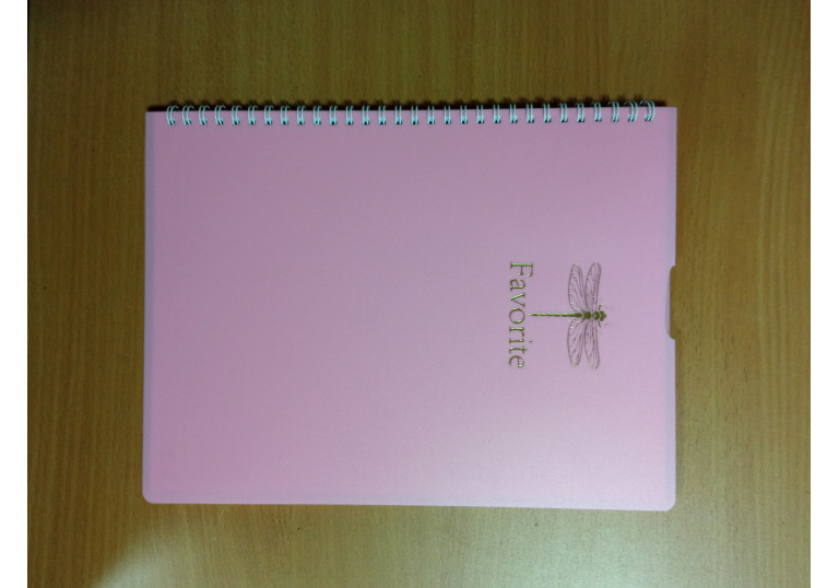 Блокнот BUROMAX FAVOURITE, PASTEL, А4, 80 арк., клітинка, пласт. обкладинка ВМ24452154 Блокнот BUROMAX FAVOURITE, PASTEL, А4, 80 арк., клітинка, пласт. обкладинка ВМ24452154